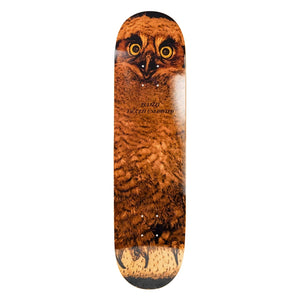 Jacuzzi Unlimited 8.375" Pulizzi Hoo EX7 Deck - Orange - Skateboard Deck by Jacuzzi Unlimited 8.375 inch