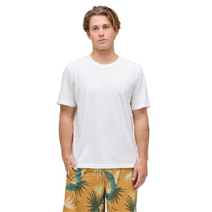 Stance Studio Organic Cotton T-Shirt - Canvas - Mens Plain T-Shirt by Stance