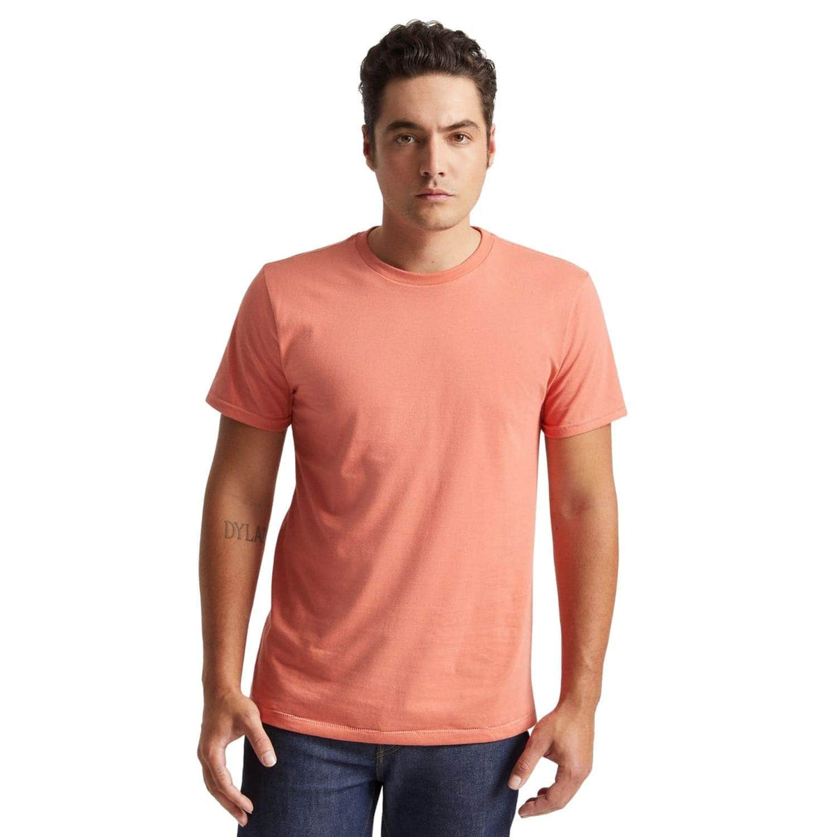 Brixton Basic Tailored T-Shirt - Apricot Jam - Mens Plain T-Shirt by Brixton