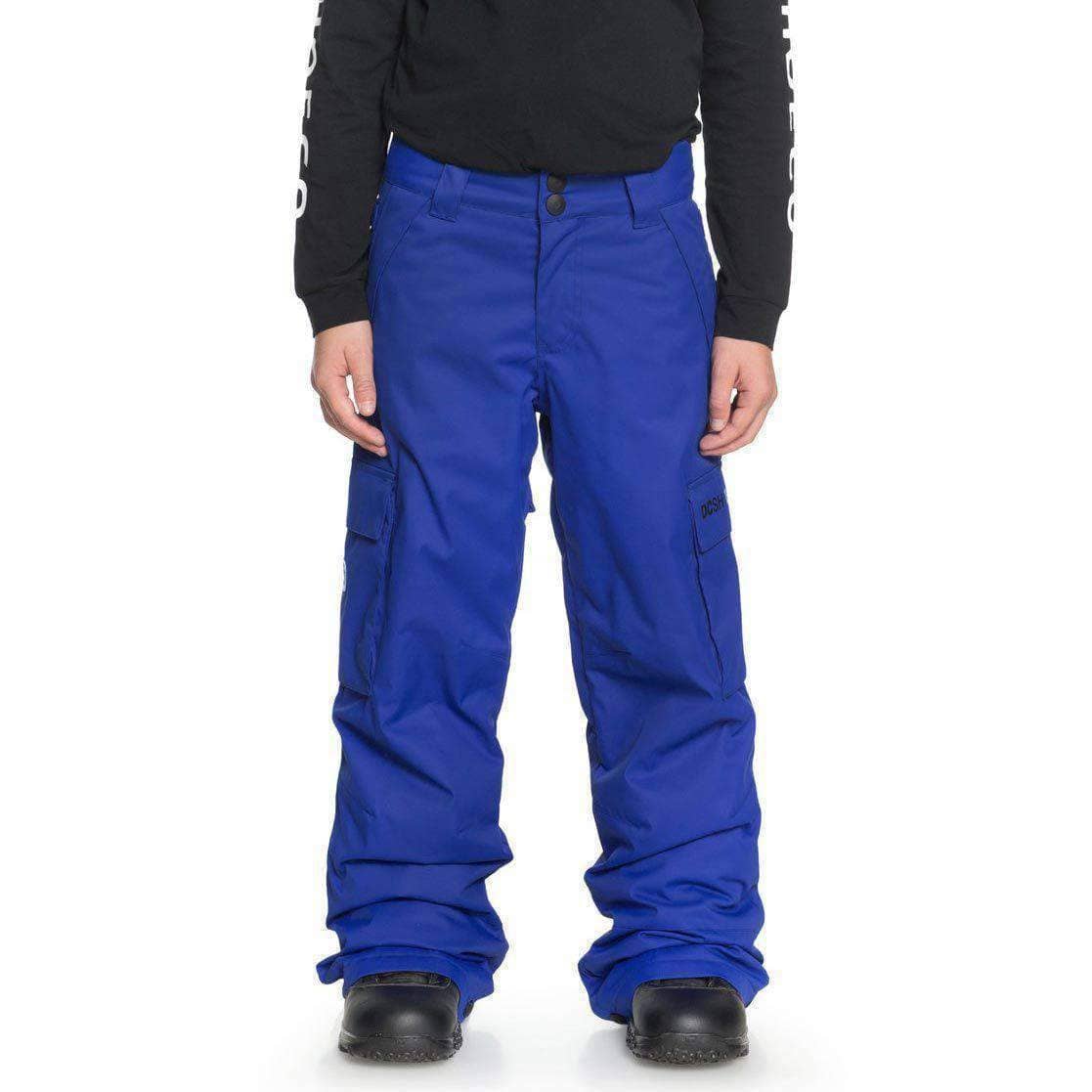 DC Boys Banshee Kids Snow Pants - Surf The Web Kids Snowboard/Ski Pants/Trousers by DC