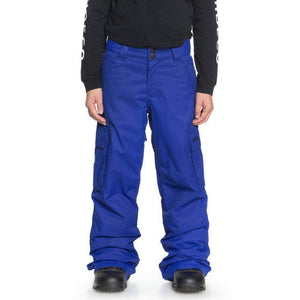 DC Boys Banshee Kids Snow Pants - Surf The Web Kids Snowboard/Ski Pants/Trousers by DC