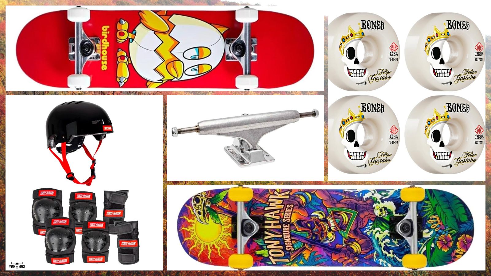 Bones, Birdhouse and Independent Skate Essentials Fall 2022 Drop Now at Yakwax
