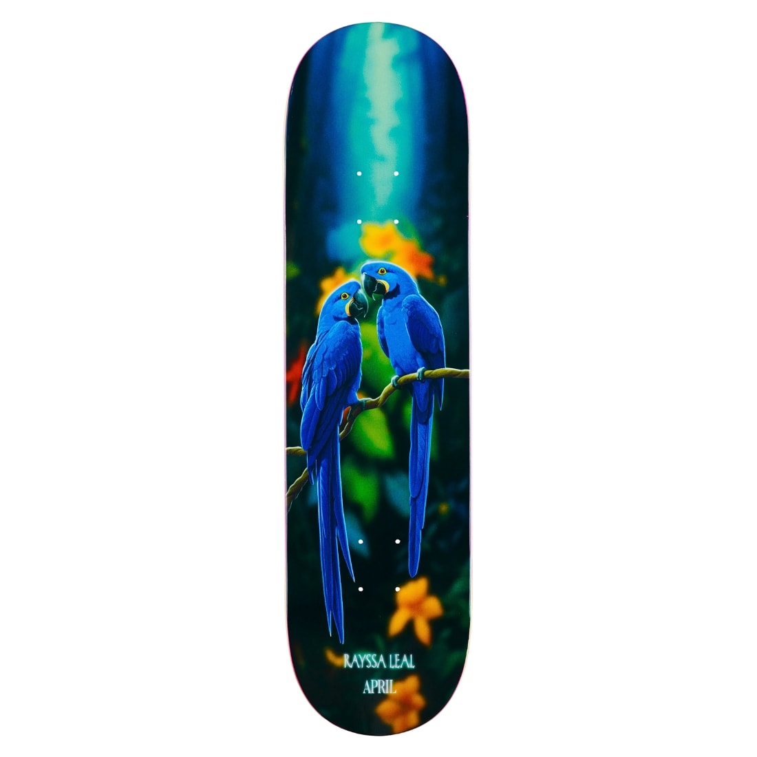 April 8.25&quot; Rayssa Leal Blue Macaw Skate Deck - Blue - Skateboard Deck by April 8.25 inch