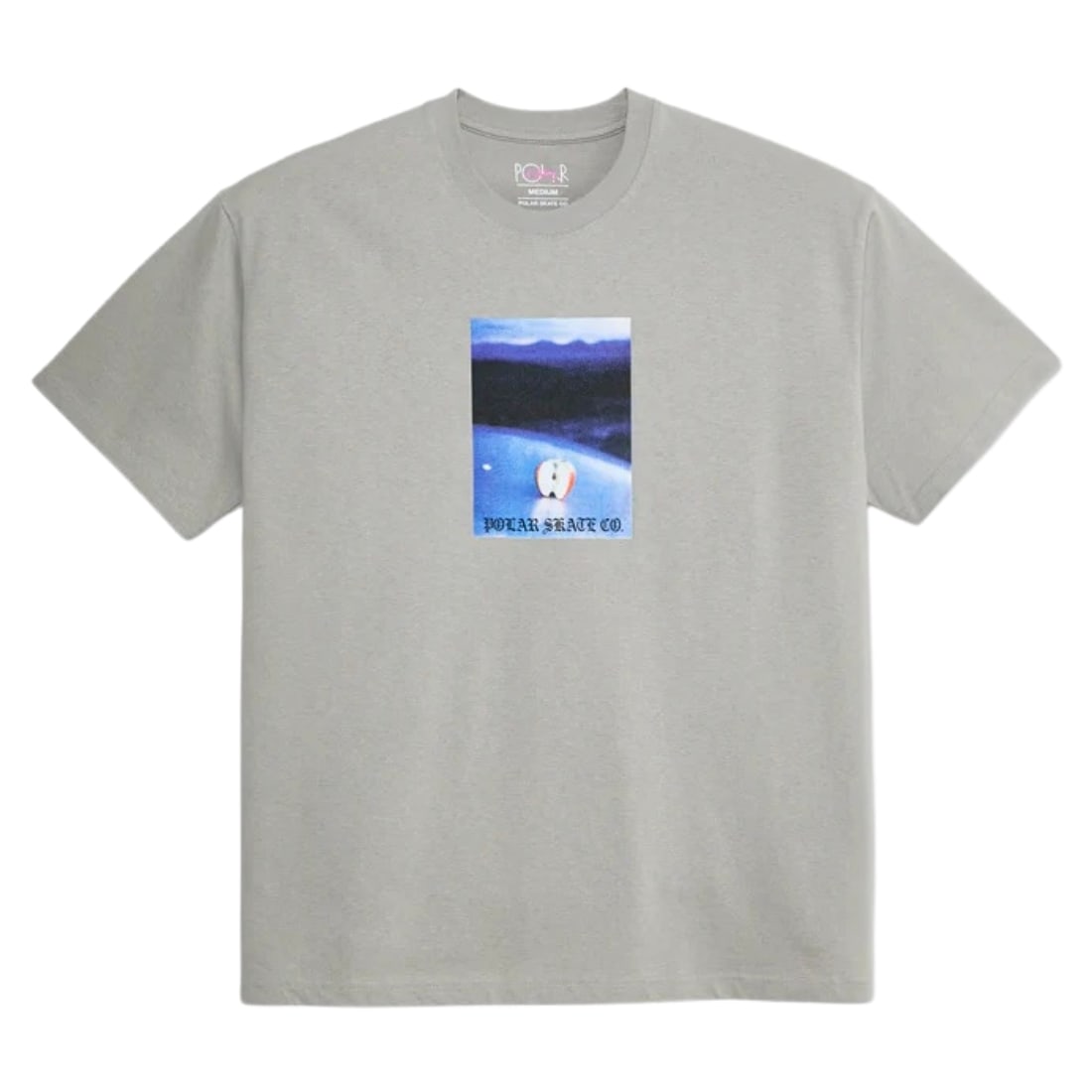 Polar Core T-Shirt - Silver - Mens Graphic T-Shirt by Polar
