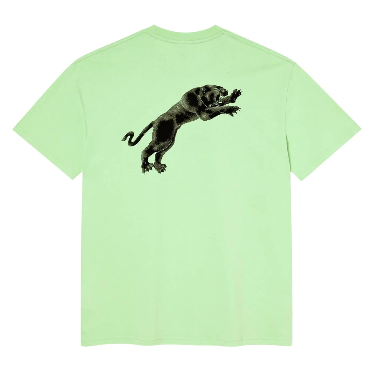 Polar Tape And Panther T-Shirt - Mint Green - Mens Skate Brand T-Shirt by Polar