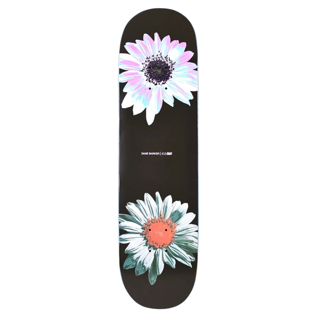 Quasi 8.125" Barker Heavy Petal Deck - Multi - Skateboard Deck by Quasi 8.125 inch