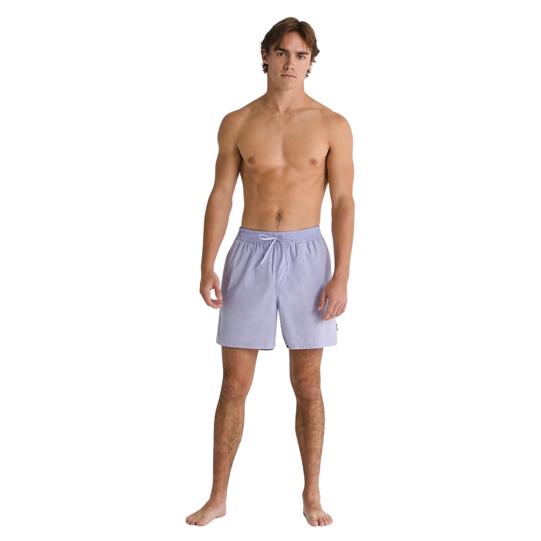 Vans Primary Solid Elastic Boardshorts - Purple